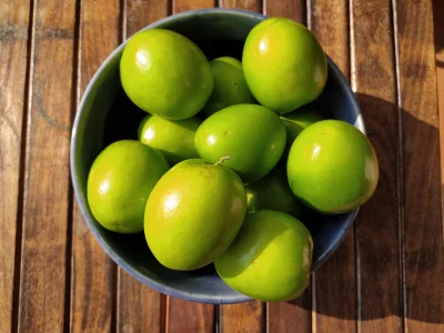 jujube fruits are high in potassium and low in sodium