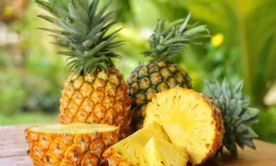 Incorporate pineapple into a balanced diet can help with weight loss goals